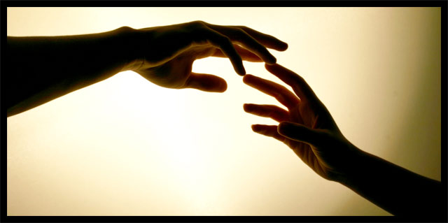 635984009358569957-1319363101_17b00029b14c23fd203b66b973cca722